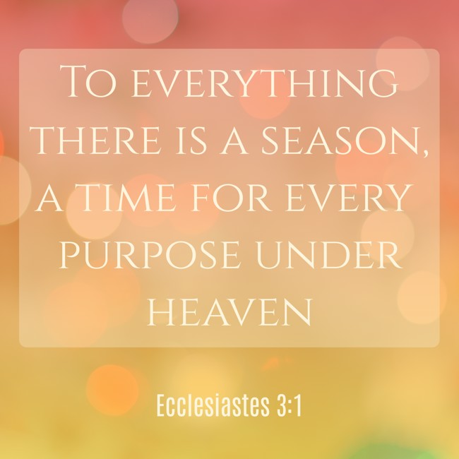  To everything there is a season, a time for every purpose under heaven   - Ecclesiastes 3:1 