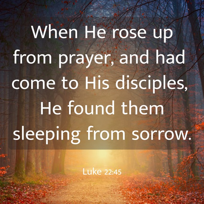 When He rose up from prayer, and had come to His disciples, He found them sleeping from sorrow. - Luke 22:45