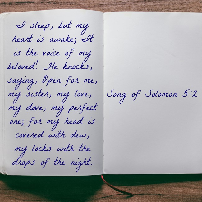 I sleep, but my heart is awake; It is the voice of my beloved! He knocks, saying, Open for me, my sister, my love, my dove, my perfect one; for my head is covered with dew, my locks with the drops of the night. - Song of Solomon 5:2