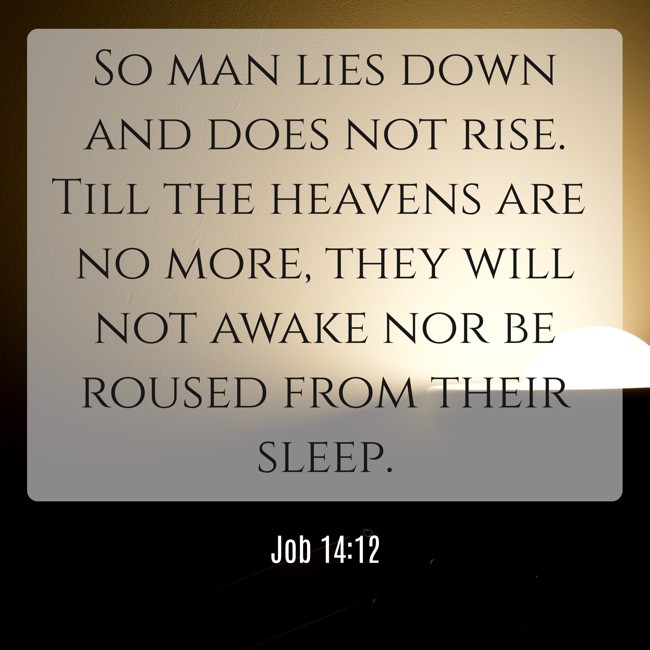 So man lies down and does not rise. Till the heavens are no more, they will not awake nor be roused from their sleep. - Job 14:12