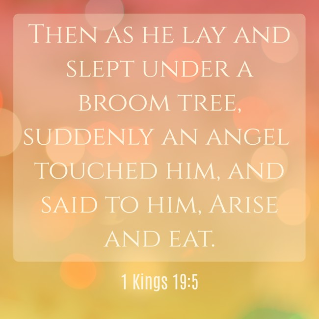 Then as he lay and slept under a broom tree, suddenly an angel touched him, and said to him, Arise and eat. - 1 Kings 19:5
