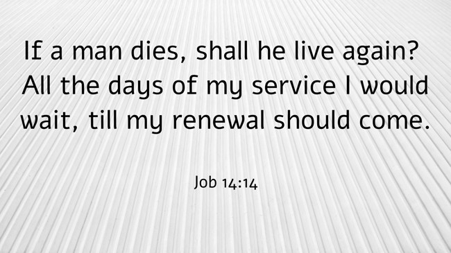  If a man dies, shall he live again? All the days of my service I would wait, till my renewal should come.   - Job 14:14 