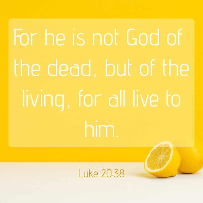  For he is not God of the dead, but of the living, for all live to him.   - Luke 20:38 