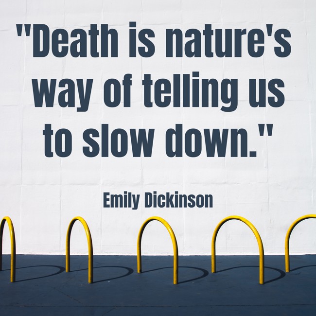  Death is nature's way of telling us to slow down.   - Emily Dickinson 