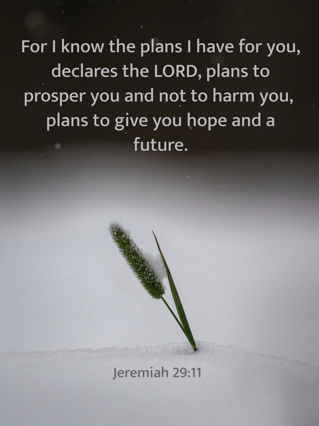 For I know the plans I have for you, declares the LORD, plans to prosper you and not to harm you, plans to give you hope and a future. - Jeremiah 29:11