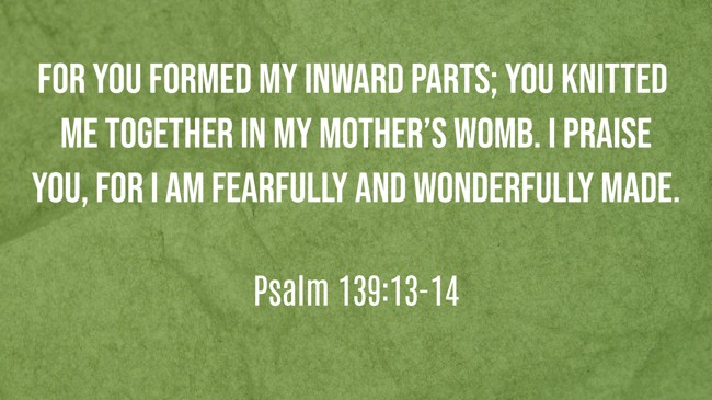 For you formed my inward parts; you knitted me together in my mother’s womb. I praise you, for I am fearfully and wonderfully made. - Psalm 139:13-14