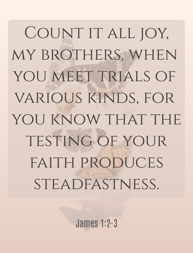 Count it all joy, my brothers, when you meet trials of various kinds, for you know that the testing of your faith produces steadfastness. - James 1:2-3