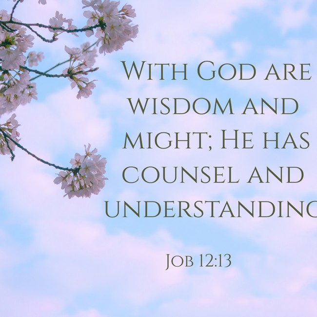 With God are wisdom and might; He has counsel and understanding. - Job 12:13