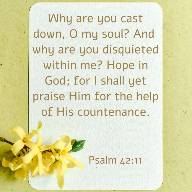 Why are you cast down, O my soul? And why are you disquieted within me? Hope in God; for I shall yet praise Him for the help of His countenance. - Psalm 42:11