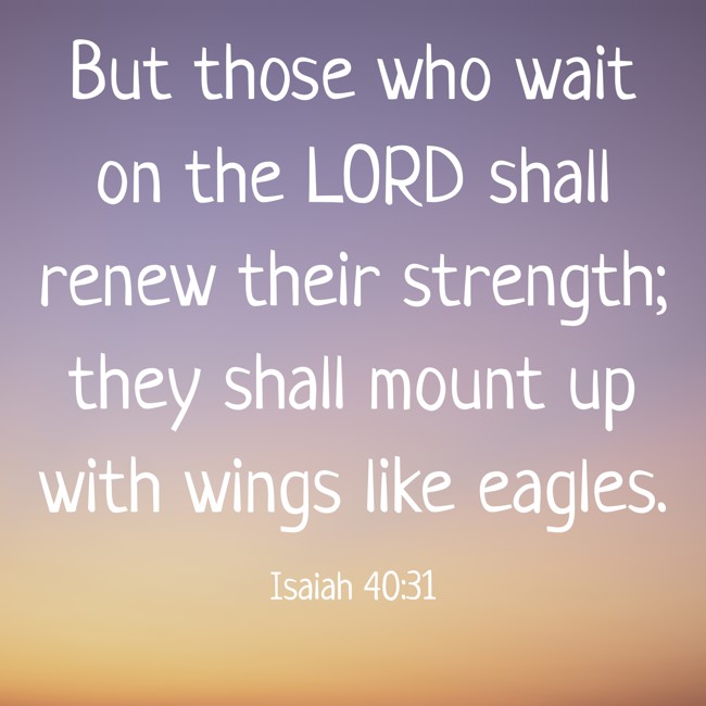 But those who wait on the LORD shall renew their strength; they shall mount up with wings like eagles. - Isaiah 40:31