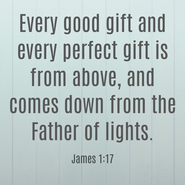 Every good gift and every perfect gift is from above, and comes down from the Father of lights. - James 1:17