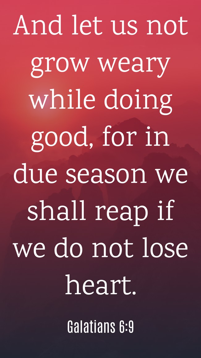 And let us not grow weary while doing good, for in due season we shall reap if we do not lose heart. - Galatians 6:9