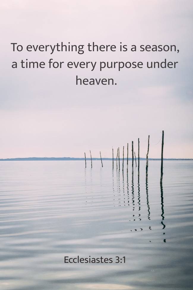 To everything there is a season, a time for every purpose under heaven. - Ecclesiastes 3:1