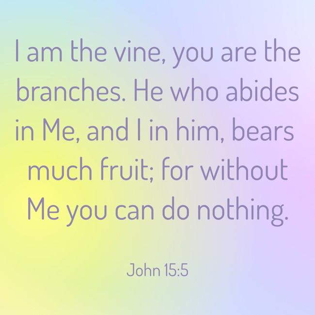 I am the vine, you are the branches. He who abides in Me, and I in him, bears much fruit; for without Me you can do nothing. - John 15:5