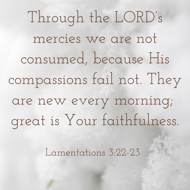 Through the LORD’s mercies we are not consumed, because His compassions fail not. They are new every morning; great is Your faithfulness. - Lamentations 3:22-23