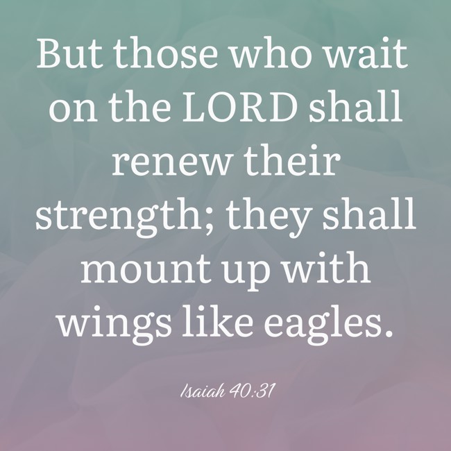 But those who wait on the LORD shall renew their strength; they shall mount up with wings like eagles. - Isaiah 40:31