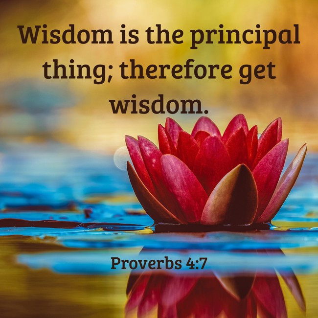 Wisdom is the principal thing; therefore get wisdom. - Proverbs 4:7