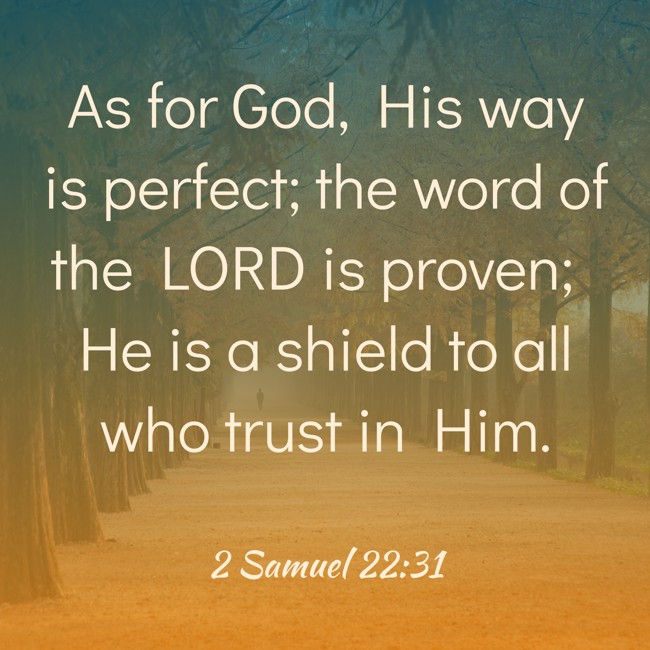 As for God, His way is perfect; the word of the LORD is proven; He is a shield to all who trust in Him. - 2 Samuel 22:31