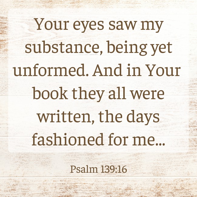 Your eyes saw my substance, being yet unformed. And in Your book they all were written, the days fashioned for me... - Psalm 139:16