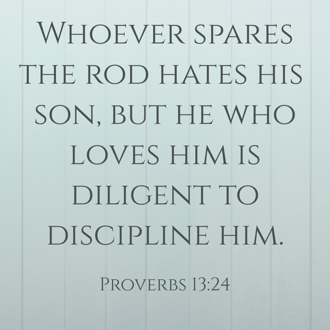 Whoever spares the rod hates his son, but he who loves him is diligent to discipline him. - Proverbs 13:24