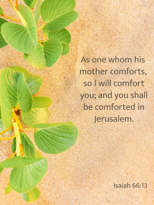 As one whom his mother comforts, so I will comfort you; and you shall be comforted in Jerusalem. - Isaiah 66:13