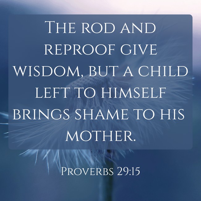 The rod and reproof give wisdom, but a child left to himself brings shame to his mother. - Proverbs 29:15