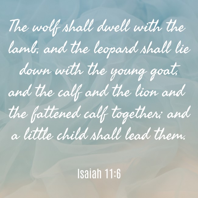The wolf shall dwell with the lamb, and the leopard shall lie down with the young goat, and the calf and the lion and the fattened calf together; and a little child shall lead them. - Isaiah 11:6
