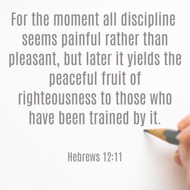 For the moment all discipline seems painful rather than pleasant, but later it yields the peaceful fruit of righteousness to those who have been trained by it. - Hebrews 12:11