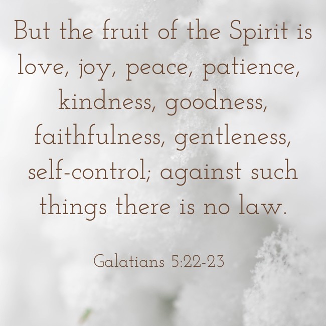 But the fruit of the Spirit is love, joy, peace, patience, kindness, goodness, faithfulness, gentleness, self-control; against such things there is no law. - Galatians 5:22-23