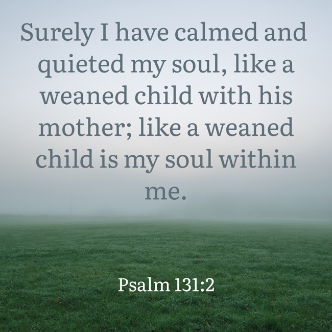 Surely I have calmed and quieted my soul, like a weaned child with his mother; like a weaned child is my soul within me. - Psalm 131:2