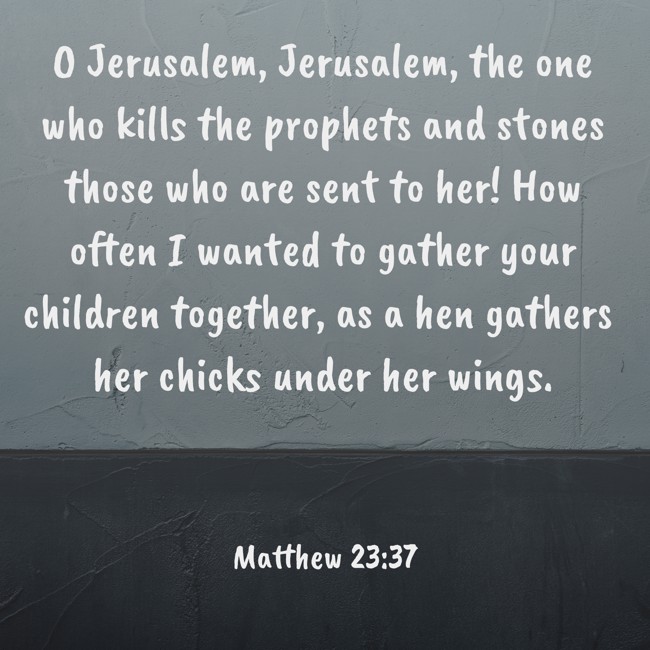 O Jerusalem, Jerusalem, the one who kills the prophets and stones those who are sent to her! How often I wanted to gather your children together, as a hen gathers her chicks under her wings. - Matthew 23:37