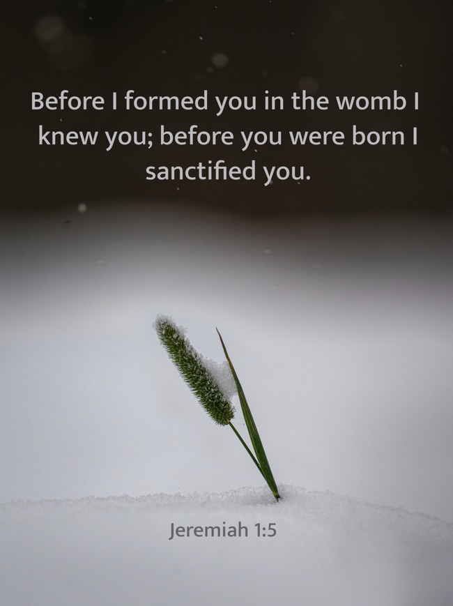 Before I formed you in the womb I knew you; before you were born I sanctified you. - Jeremiah 1:5
