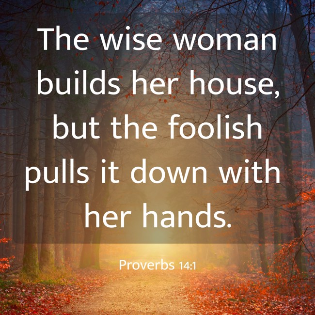 The wise woman builds her house, but the foolish pulls it down with her hands. - Proverbs 14:1