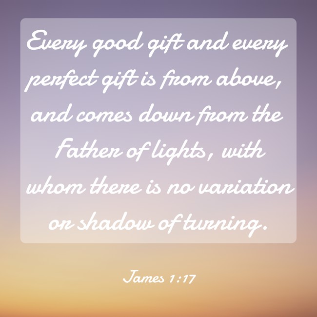 Every good gift and every perfect gift is from above, and comes down from the Father of lights, with whom there is no variation or shadow of turning. - James 1:17