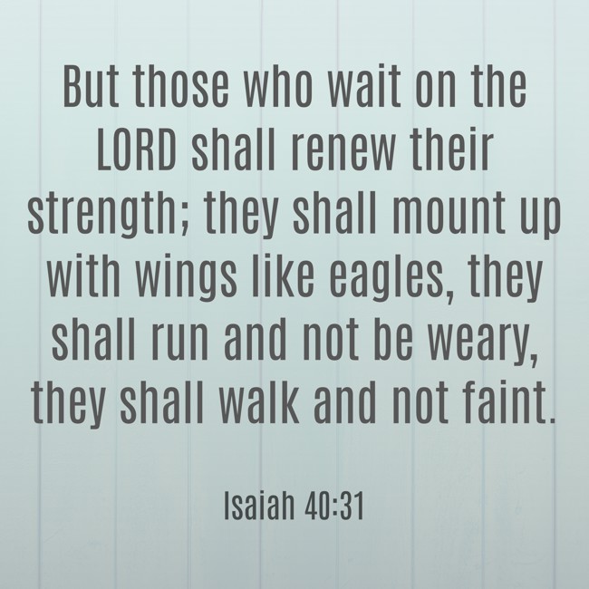 But those who wait on the LORD shall renew their strength; they shall mount up with wings like eagles, they shall run and not be weary, they shall walk and not faint. - Isaiah 40:31