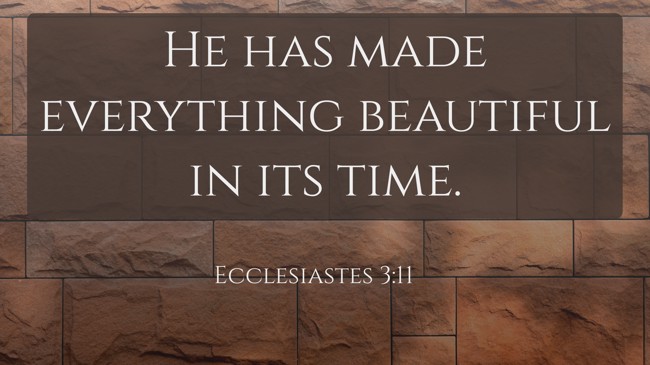 He has made everything beautiful in its time. - Ecclesiastes 3:11