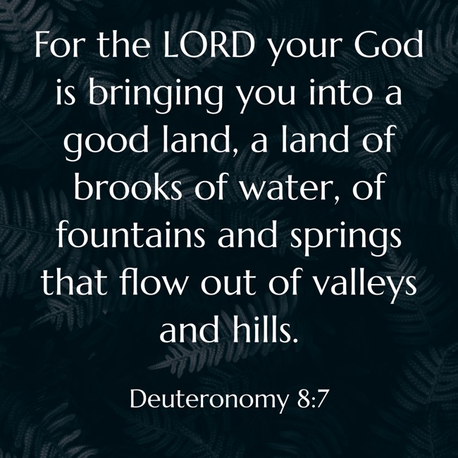 For the LORD your God is bringing you into a good land, a land of brooks of water, of fountains and springs that flow out of valleys and hills. - Deuteronomy 8:7