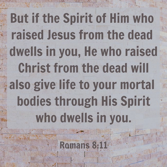 But if the Spirit of Him who raised Jesus from the dead dwells in you, He who raised Christ from the dead will also give life to your mortal bodies through His Spirit who dwells in you. - Romans 8:11