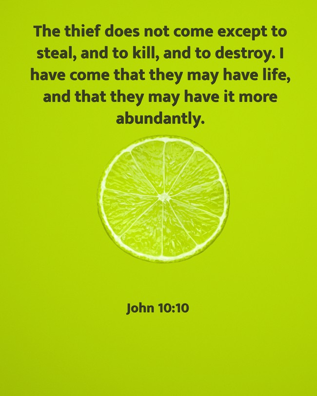 The thief does not come except to steal, and to kill, and to destroy. I have come that they may have life, and that they may have it more abundantly. - John 10:10