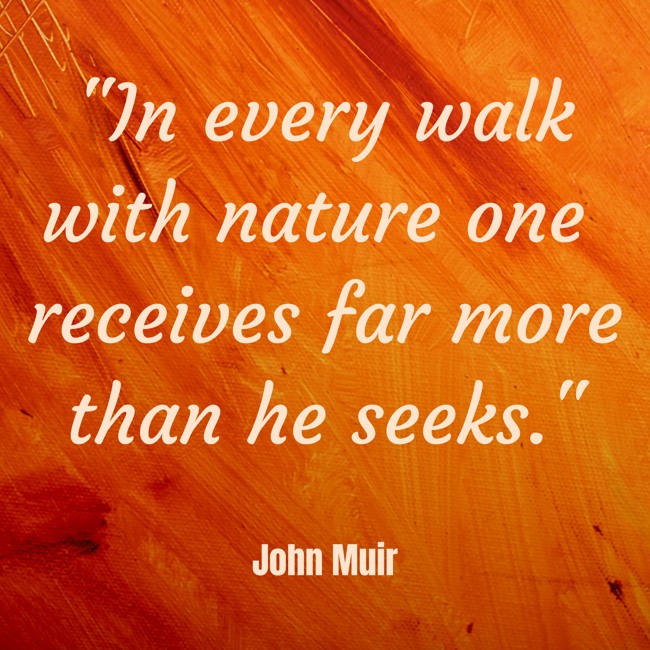 In every walk with nature one receives far more than he seeks. - John Muir
