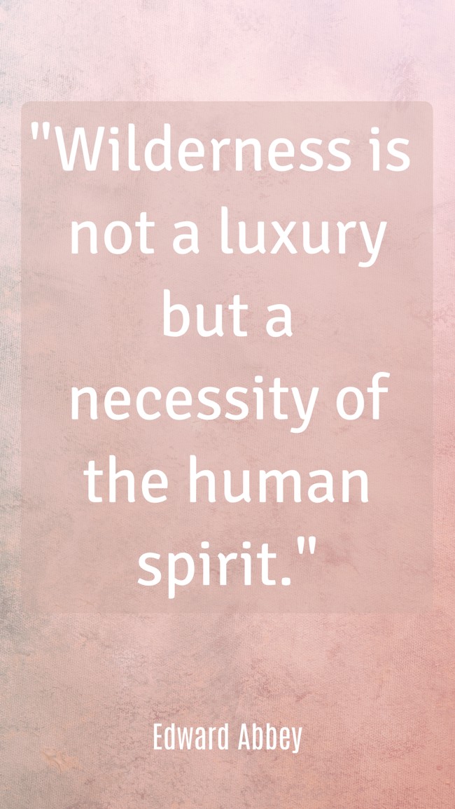 Wilderness is not a luxury but a necessity of the human spirit. - Edward Abbey