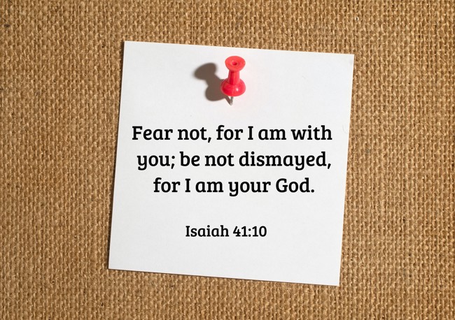 Fear not, for I am with you; be not dismayed, for I am your God. - Isaiah 41:10