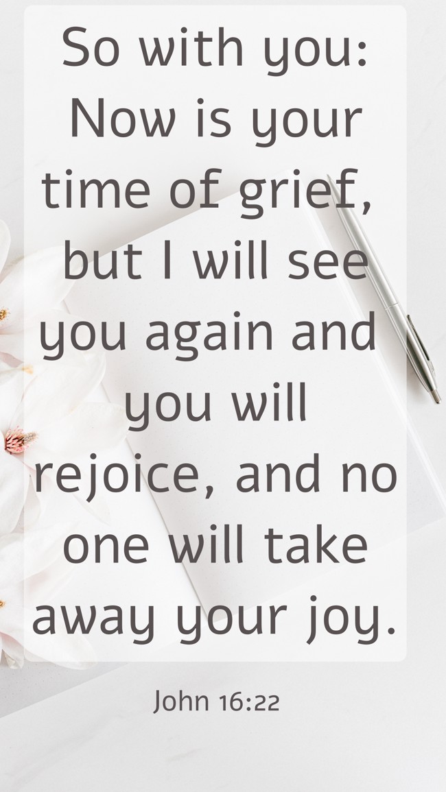 So with you: Now is your time of grief, but I will see you again and you will rejoice, and no one will take away your joy. - John 16:22