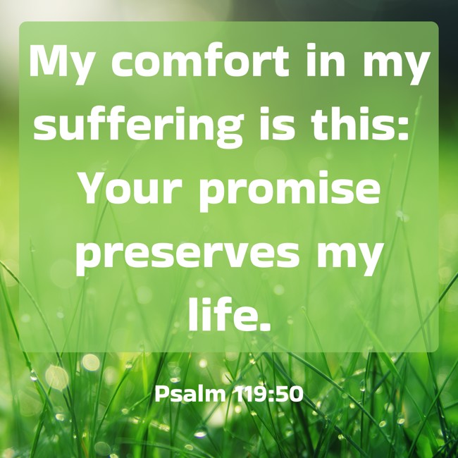 My comfort in my suffering is this: Your promise preserves my life. - Psalm 119:50