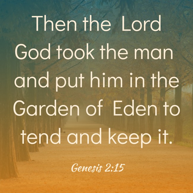  Then the Lord God took the man and put him in the Garden of Eden to tend and keep it.   - Genesis 2:15 