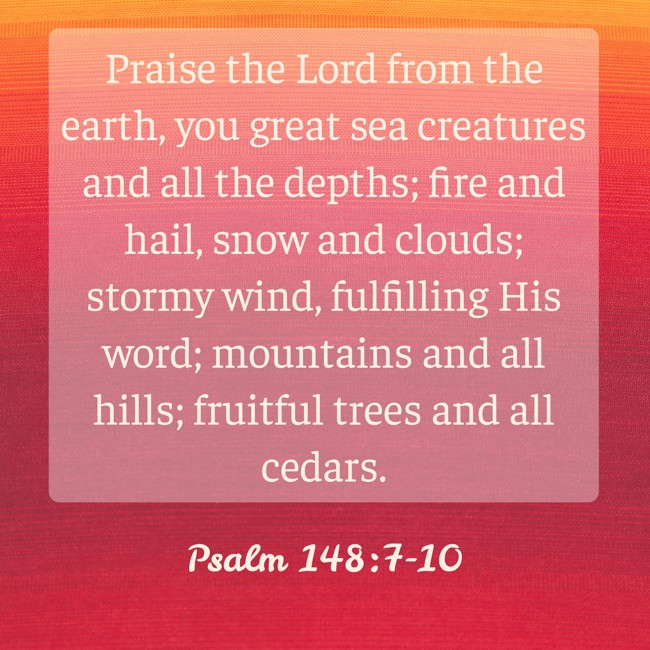  Praise the Lord from the earth, you great sea creatures and all the depths; fire and hail, snow and clouds; stormy wind, fulfilling His word; mountains and all hills; fruitful trees and all cedars.   - Psalm 148:7-10 