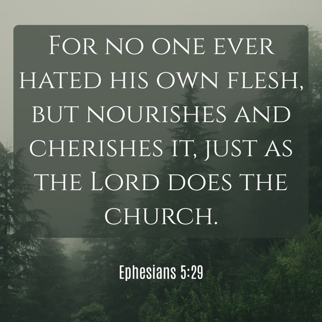  For no one ever hated his own flesh, but nourishes and cherishes it, just as the Lord does the church.   - Ephesians 5:29 