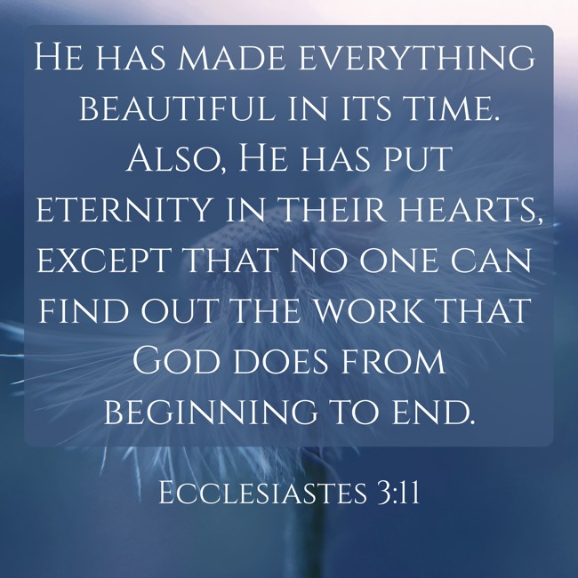  He has made everything beautiful in its time. Also, He has put eternity in their hearts, except that no one can find out the work that God does from beginning to end.   - Ecclesiastes 3:11 