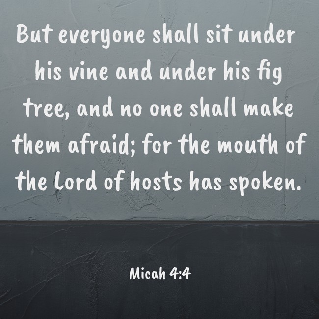  But everyone shall sit under his vine and under his fig tree, and no one shall make them afraid; for the mouth of the Lord of hosts has spoken.   - Micah 4:4 