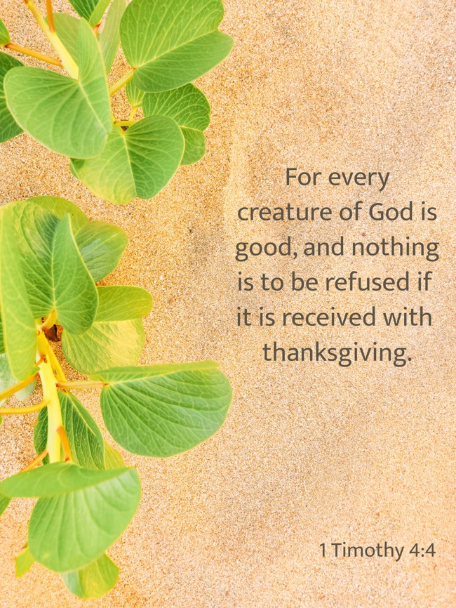  For every creature of God is good, and nothing is to be refused if it is received with thanksgiving.   - 1 Timothy 4:4 
